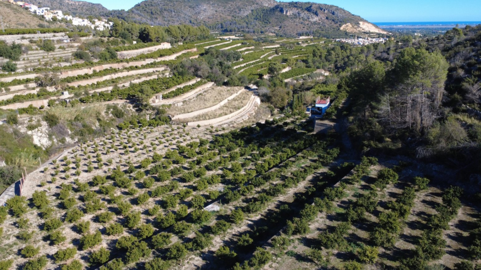 plots en adsubia ·  160000€