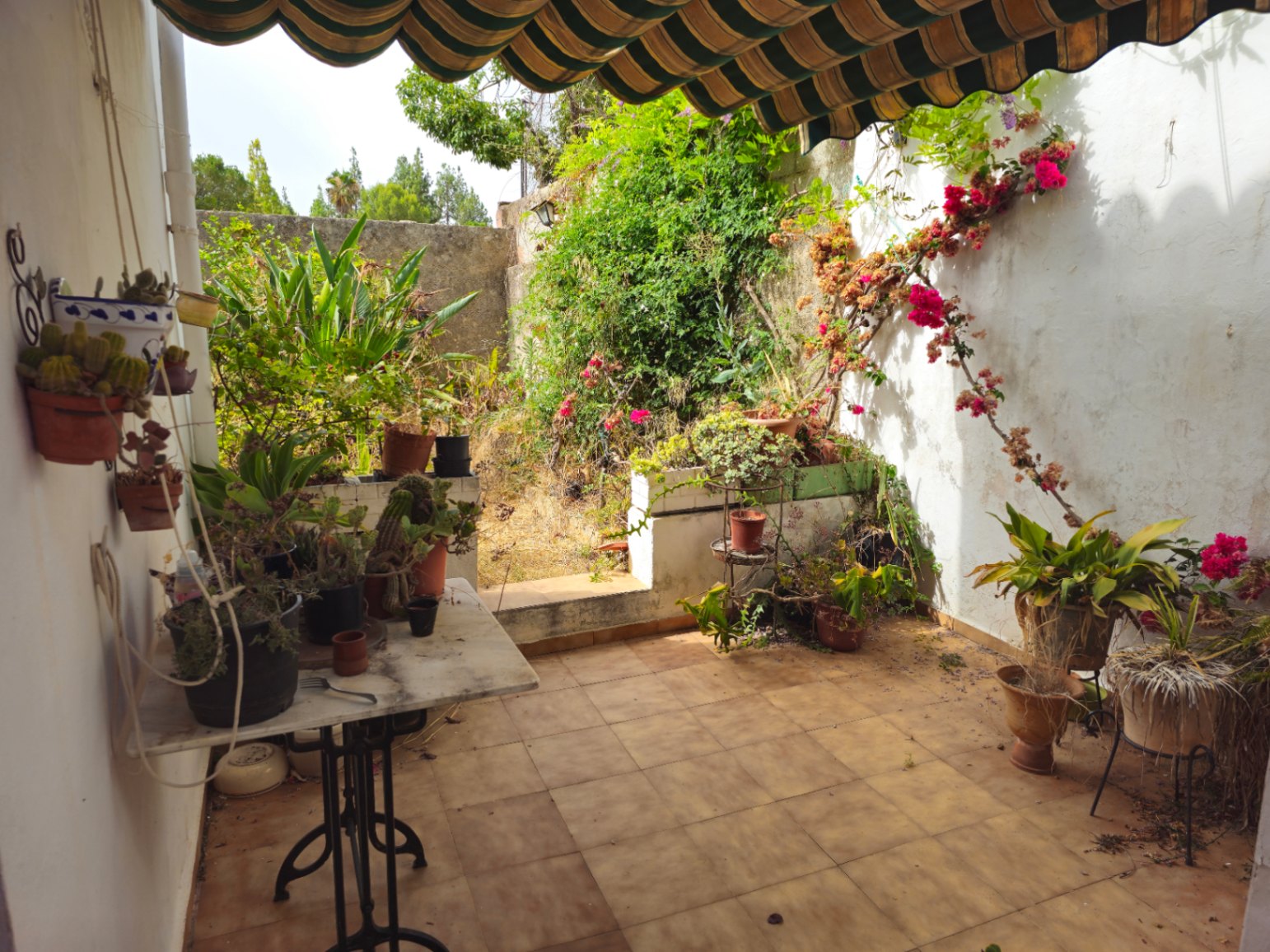casas-de-pueblo en sagra ·  184500€