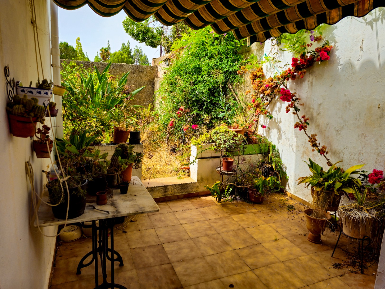 town-houses en sagra ·  184500€