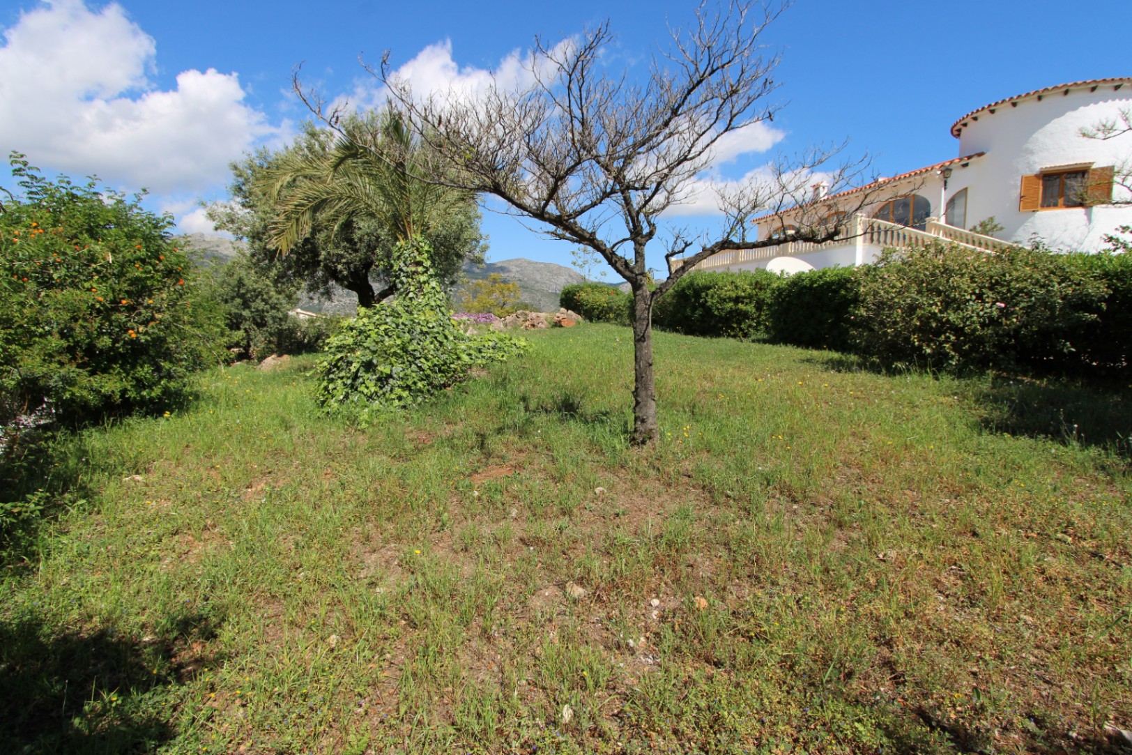 00426 - Chalet à vendre avec deux logements indépendants