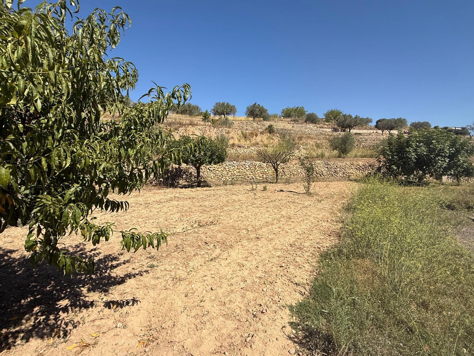 country-houses en jalon--xalo ·  263000€