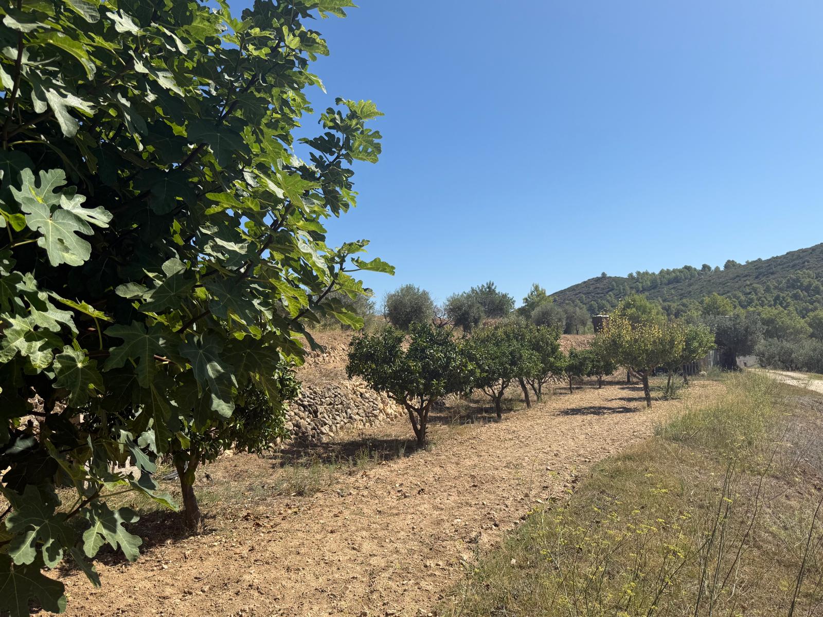 country-houses en jalon--xalo ·  263000€