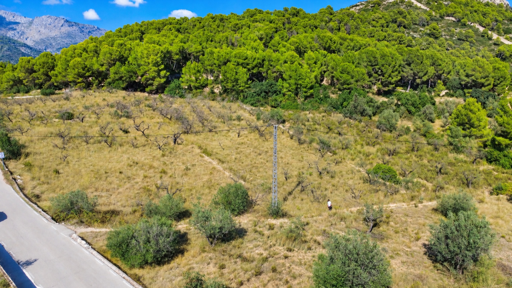 plots en murla ·  100000€