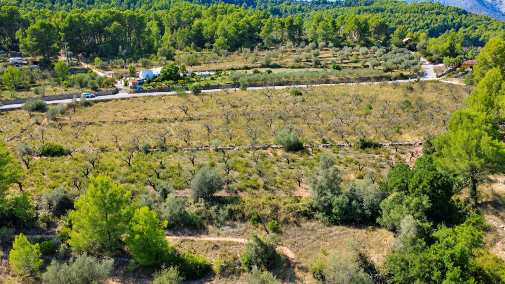 plots en murla ·  100000€