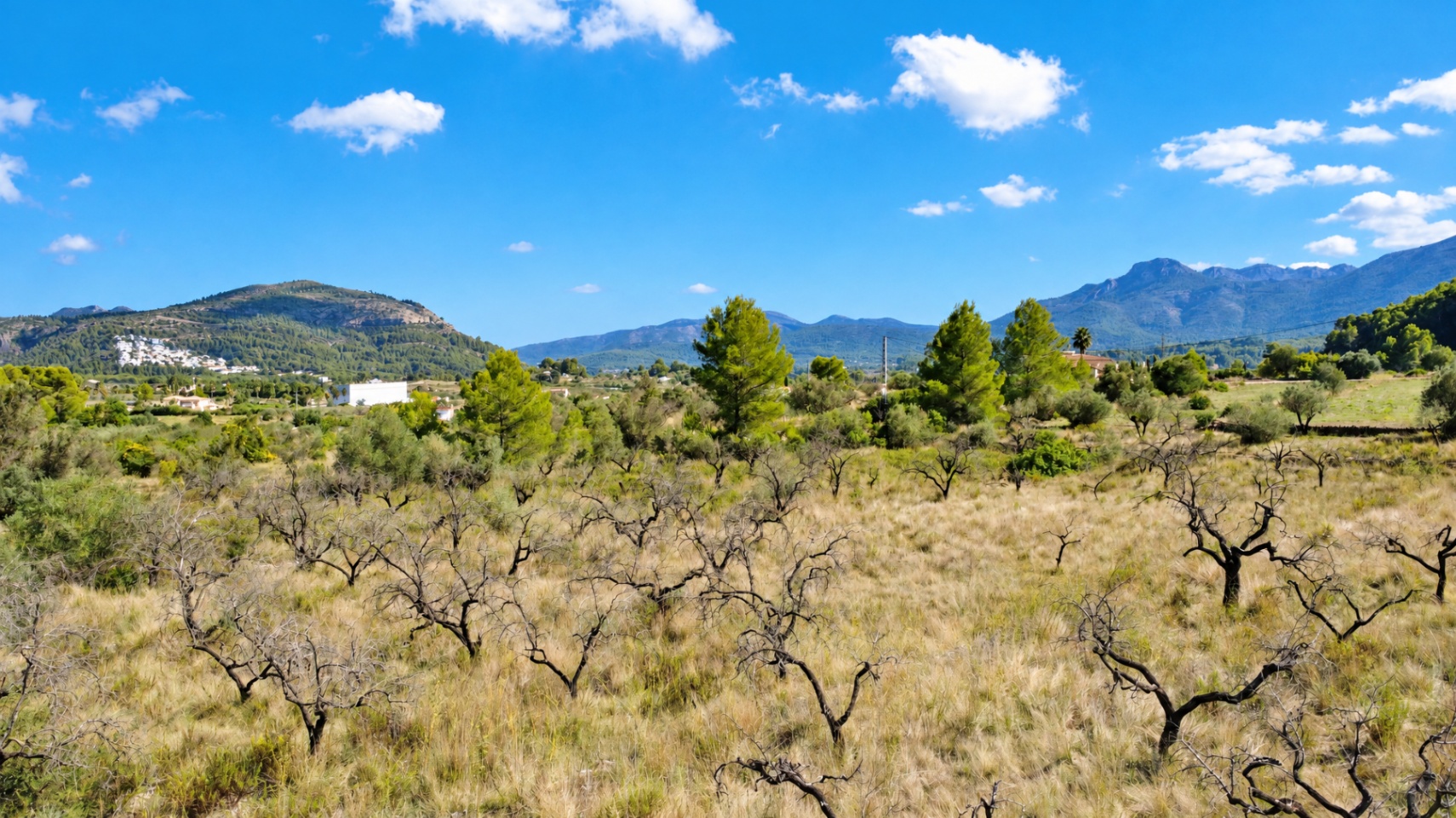plots en murla ·  100000€