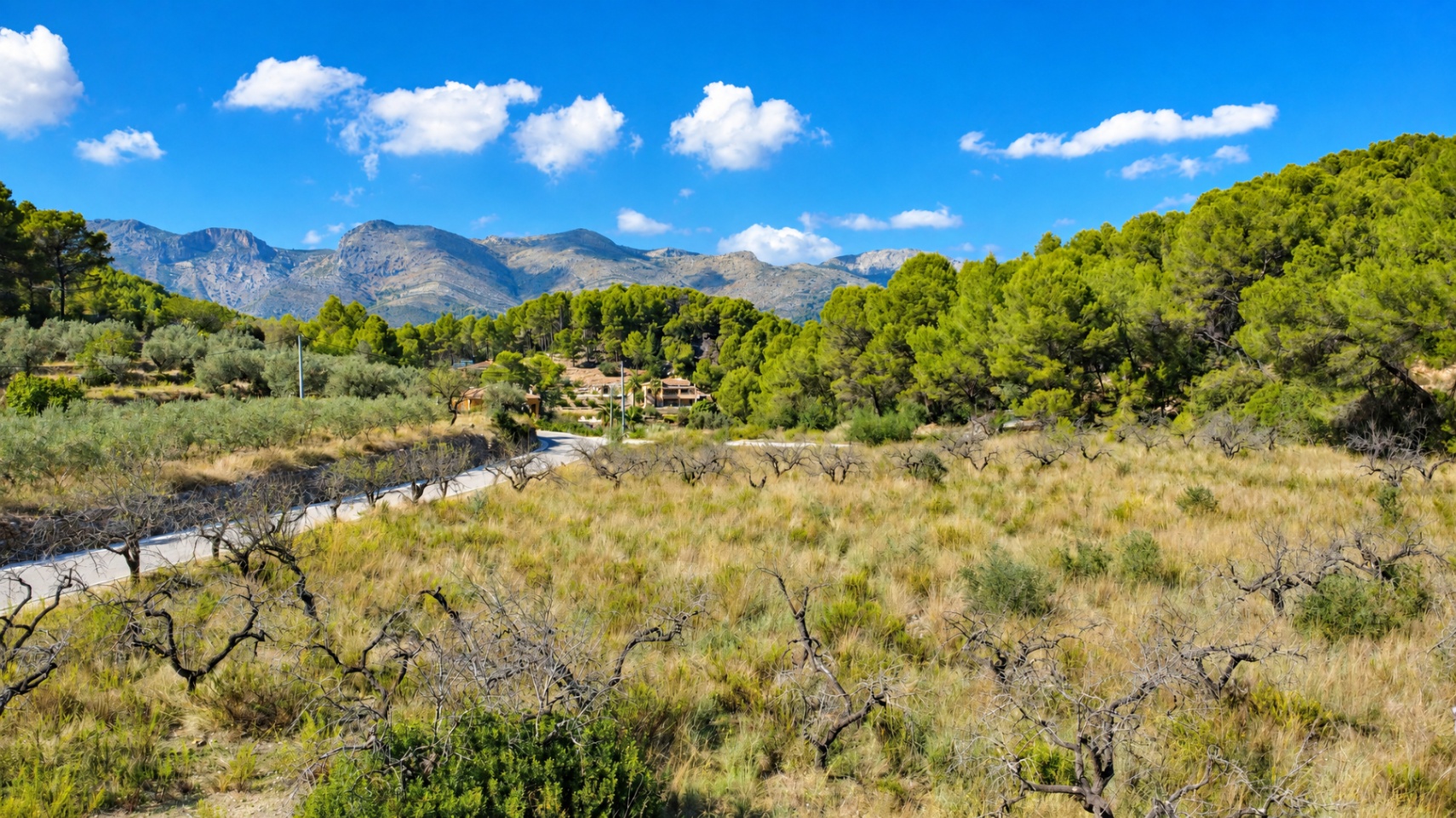 plots en murla ·  100000€