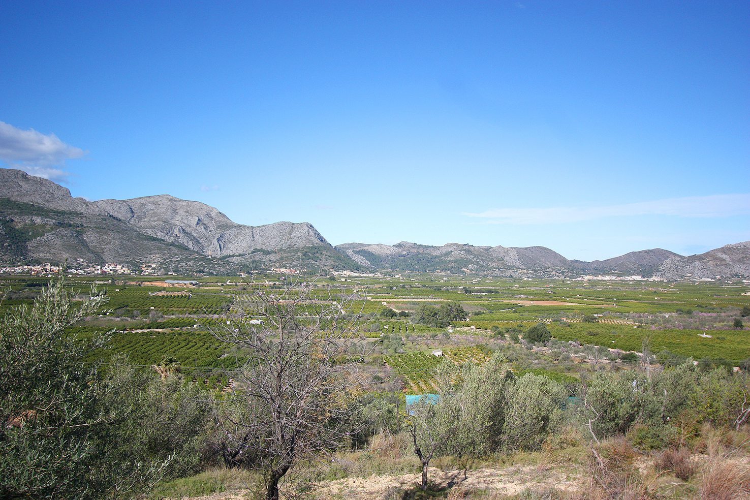 Terrain avec vue sur la vallée et la mer. Orba ( Alicante )