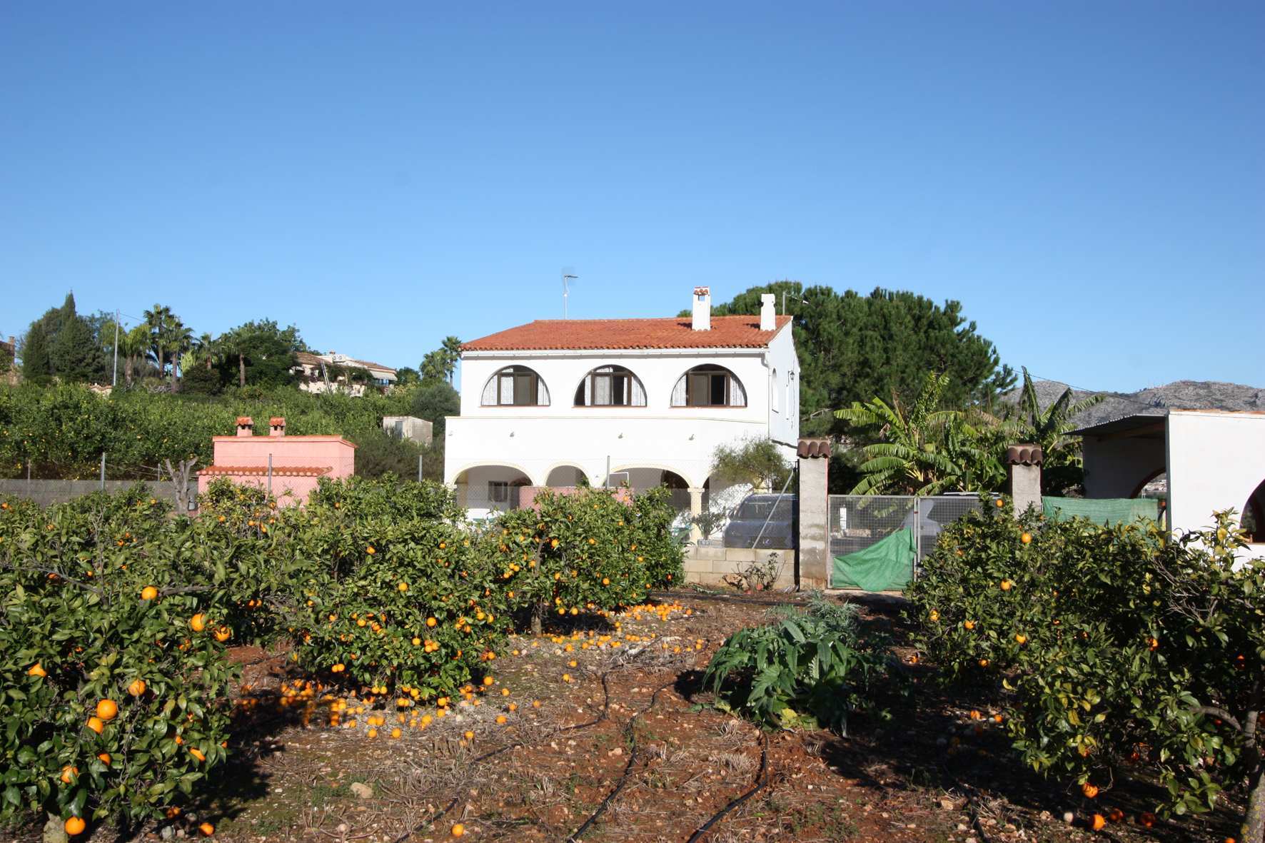 Villa / Finca with a plot of 7012m2 for sale in Benidoleig