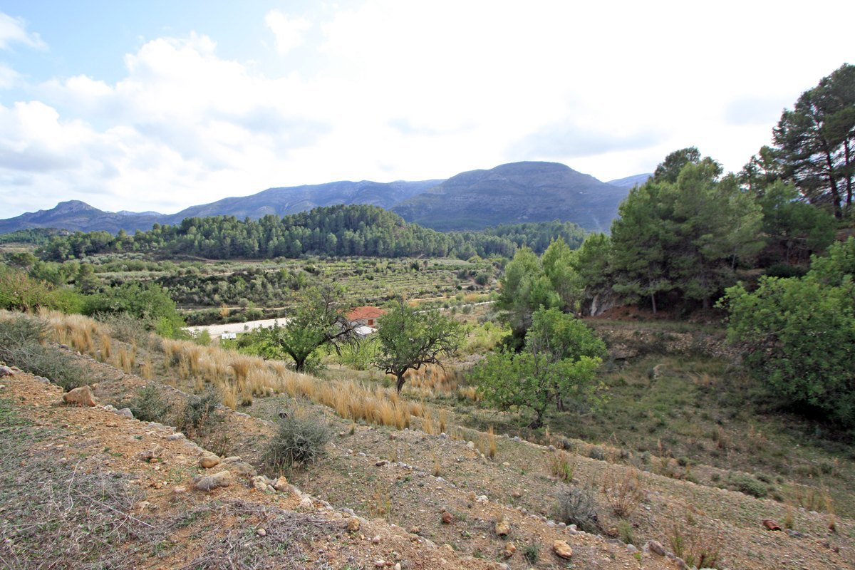 For sale flat plot nearby the Town